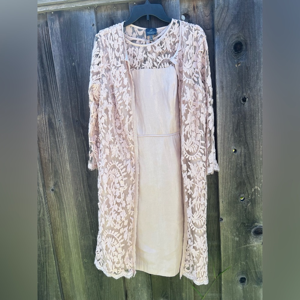 Adrianna Papell Blush Lace Dress